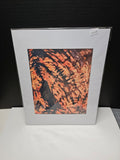 P.A. Wilson - Original Canvas Art Print with White Mat Frame | 8x10 Print in 11x14 Frame #4